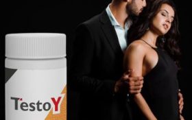Testoy
