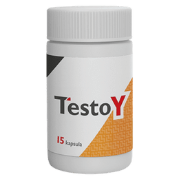Testoy