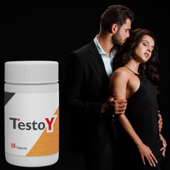 Testoy